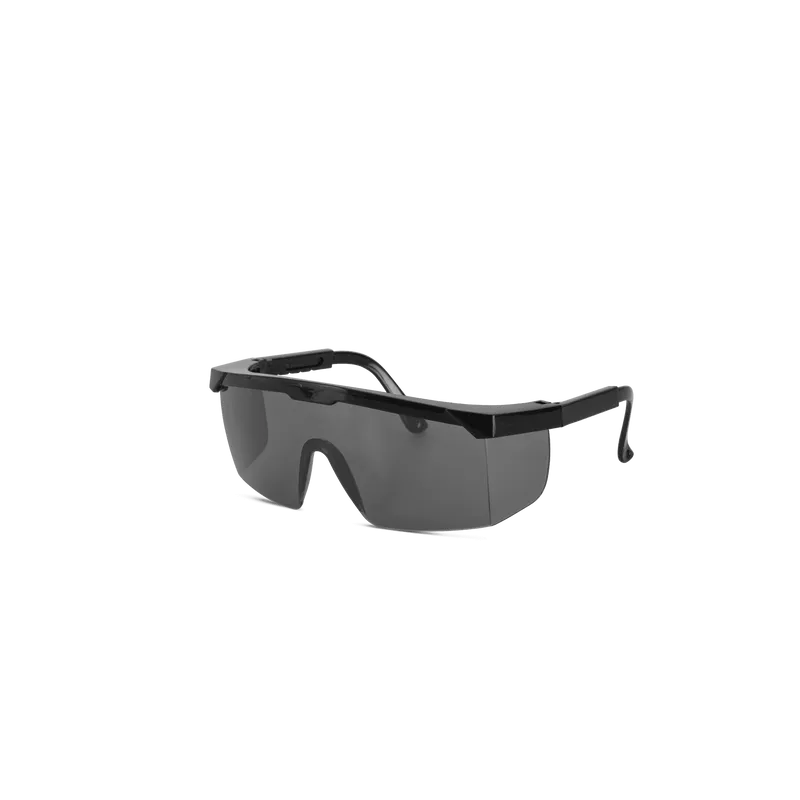 LUNETTES DE PROTECTION AVEC VERRES TEINTÉS NOIRS 2172 | VIO2172E